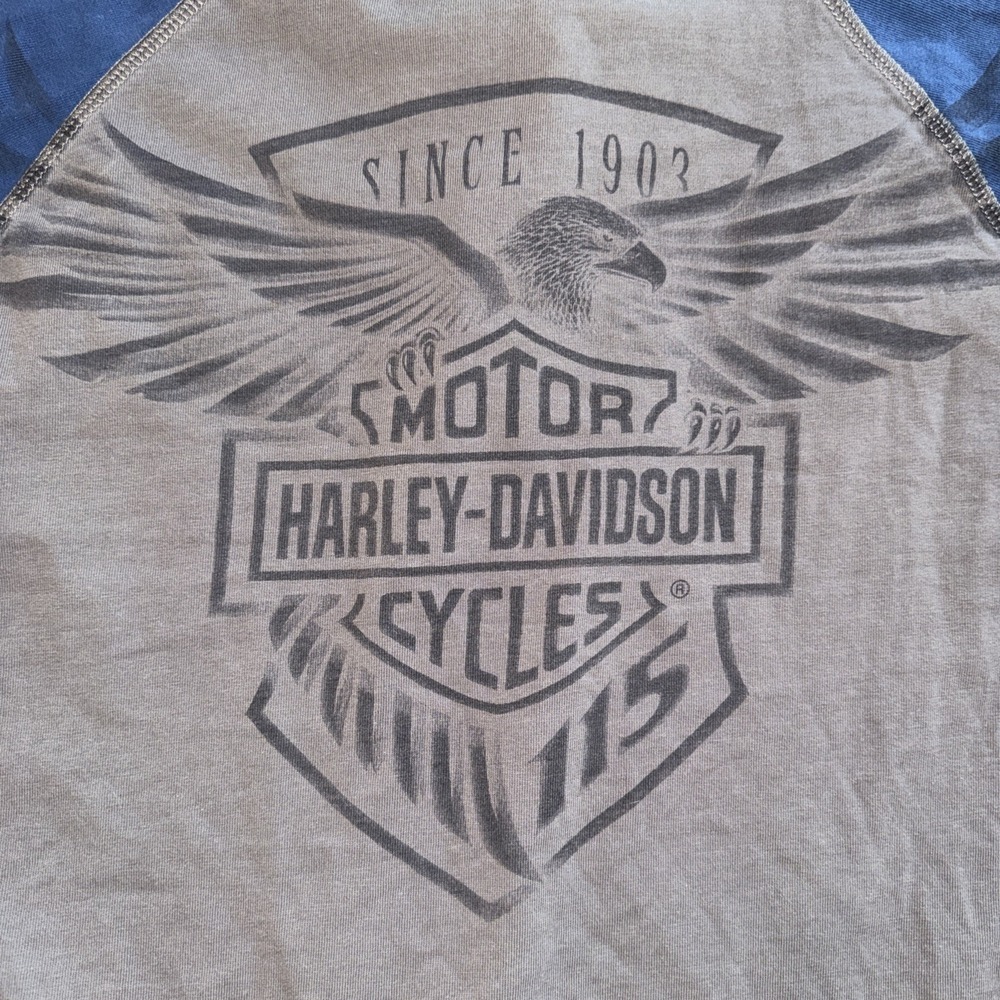 Harley-Davidson Men's 115th Anniversary Reglan Thick Cotton Size XL - Picture 7 of 11